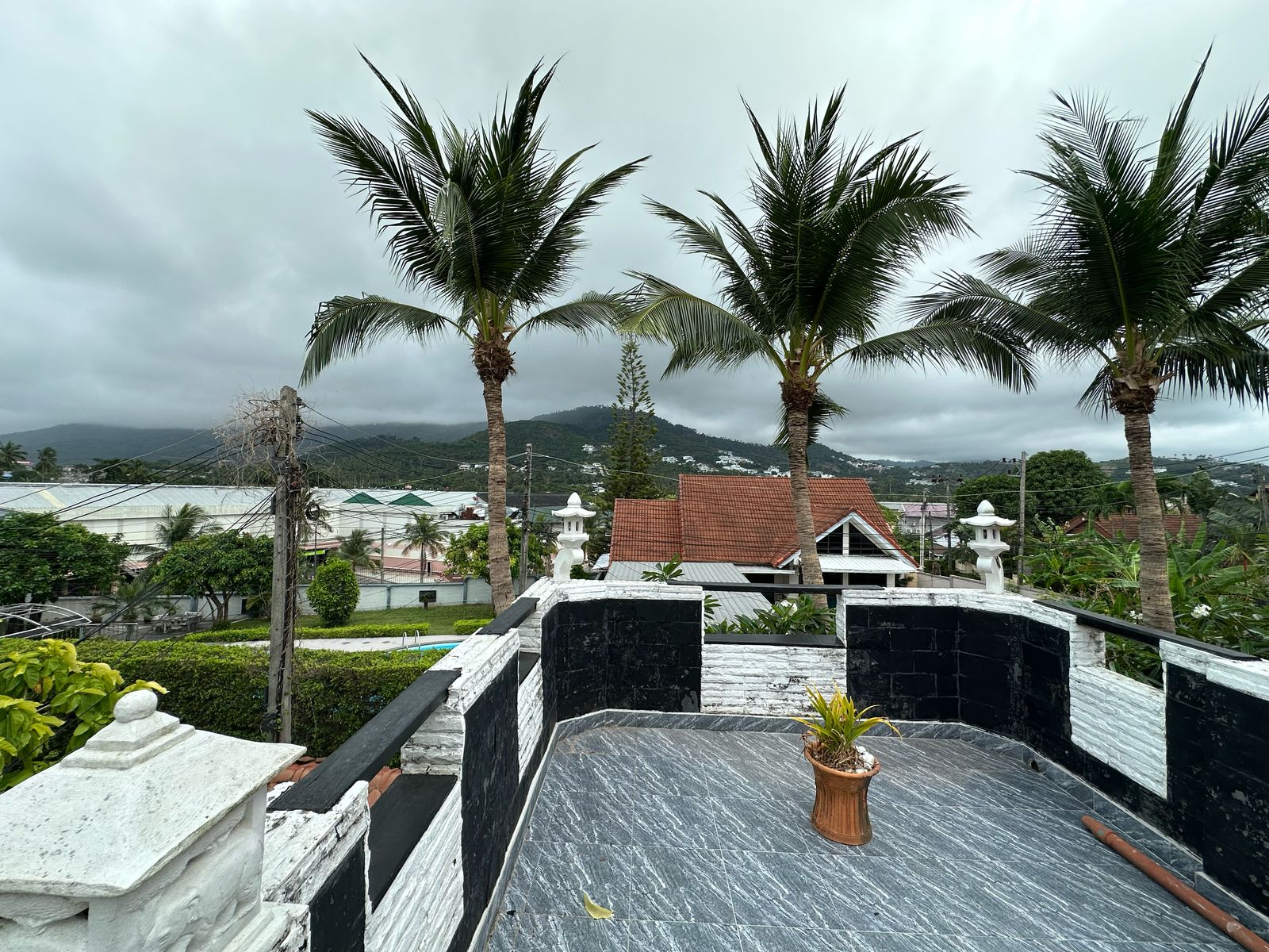 WhatsApp Image 2025-06-12 at 15.23.35