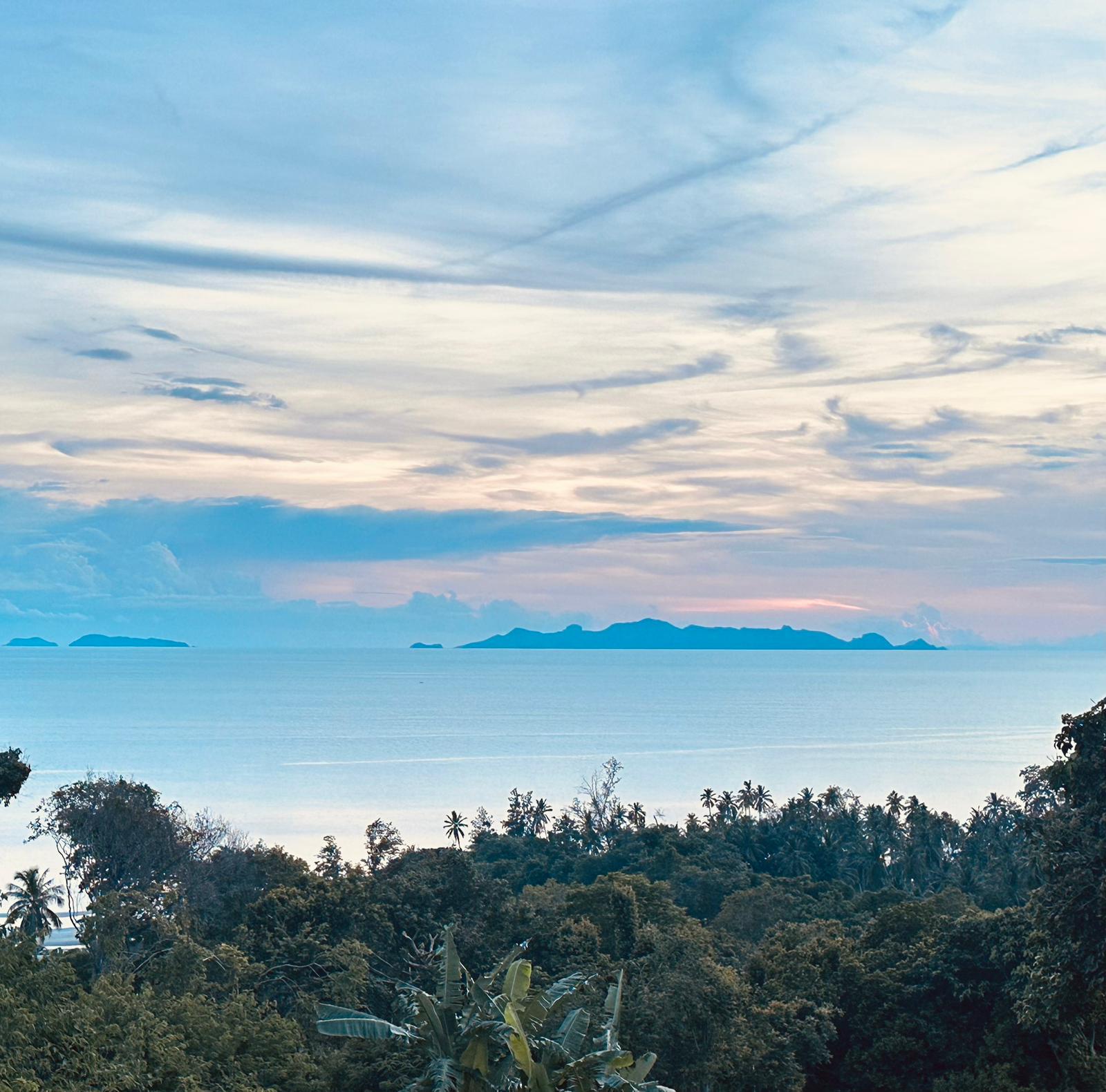 WhatsApp Image 2025-06-27 at 15.20.11_23bbfa07