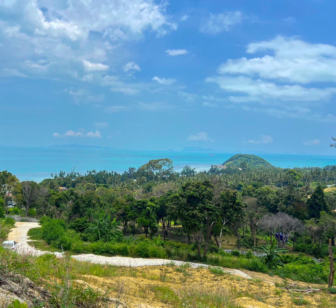 WhatsApp Image 2025-06-27 at 15.20.11_2fe6d55c