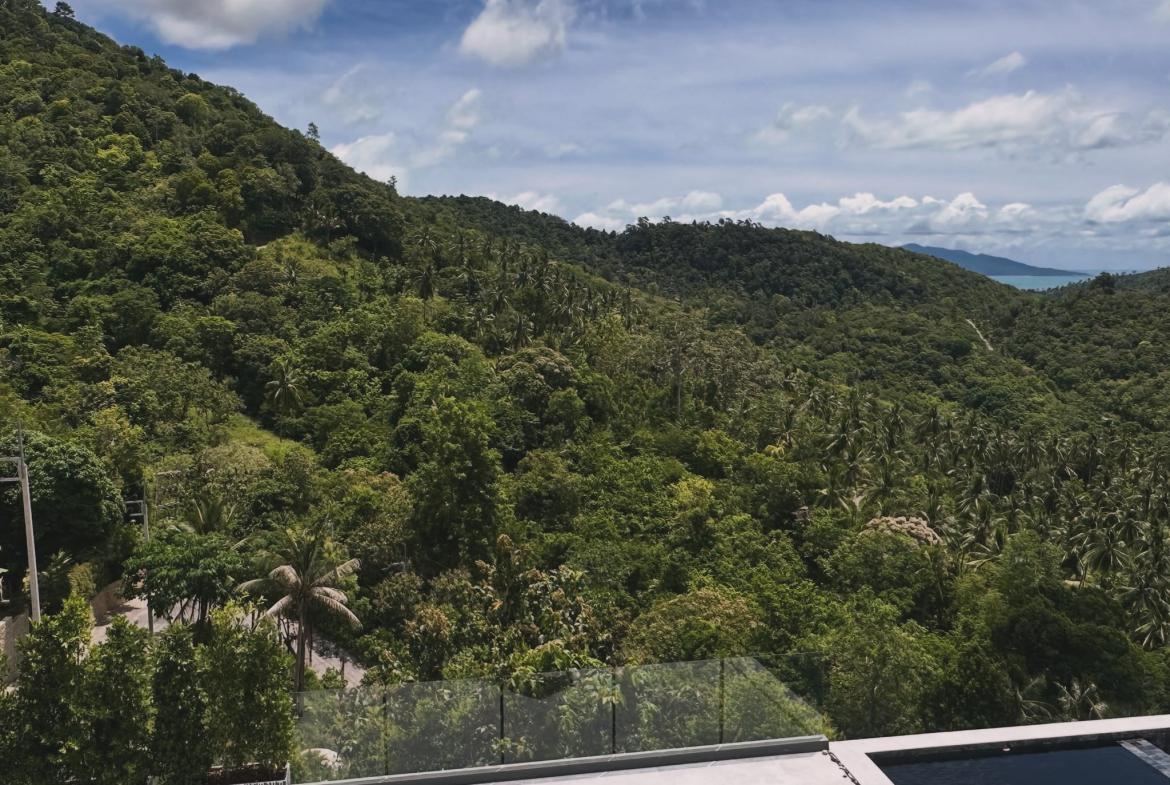 Luxury Designer Villas with Panoramic Island Views